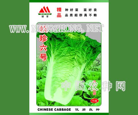秋珍六号